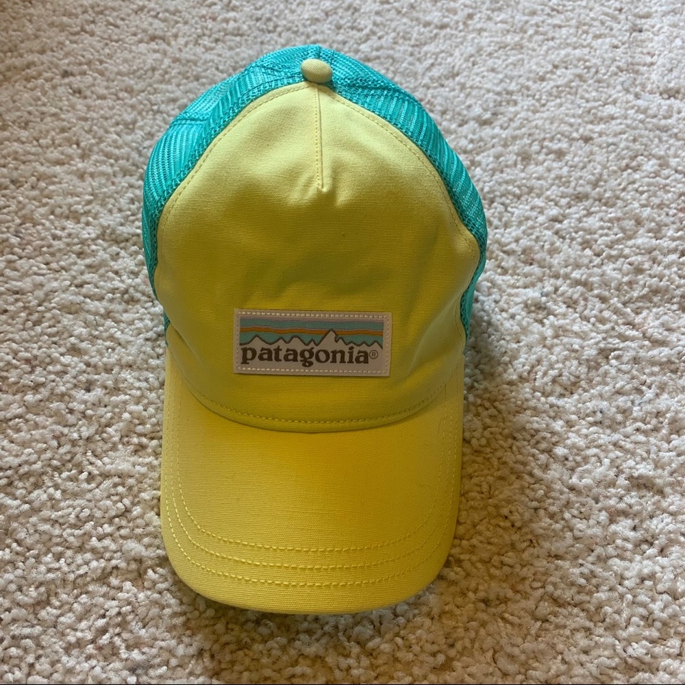Patagonia snap-back hat